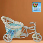 Decorative bicycle flower vase holding potted plants indoors