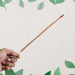 A hand holding a single burning brown incense stick against a light background with green leaf accents.