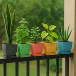 Set of 5 square plastic flower pots with removable trays in assorted colors for indoor gardening