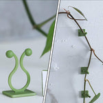 Self-adhesive plant climbing clips blending seamlessly with green foliage on a wall.