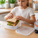 A clear plastic sandwich container with a lid is shown on a white background.