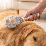 Pet brush grooming a dog