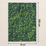 Backdrop cloth size 100x75cm