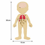 Anatomy puzzle size guide