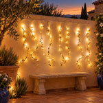 Leaf string lights displayed against a wall