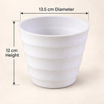 Flower pot size guide