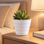 Flower pot white bg