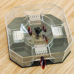 A clear plastic hexagonal trap with a dark gray base contains four brown cockroaches and bait powder on a wooden surface.