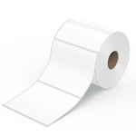High-quality 100x150mm thermal labels for quick shipping.