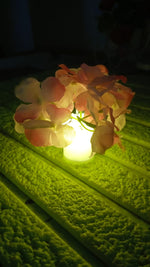 Packaging for the 4-piece LED mood lights set, ready for gifting or delivery.