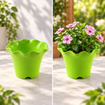 Flower pot white bg