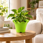 Home garden planter pot indoor