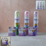 Multi-fragrance room spray and solid air freshener set