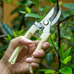 Pruning shears with sharp stainless steel blades and a comfortable handle.