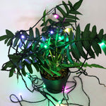 Multi-color decorative fairy string lights showcasing festive glow