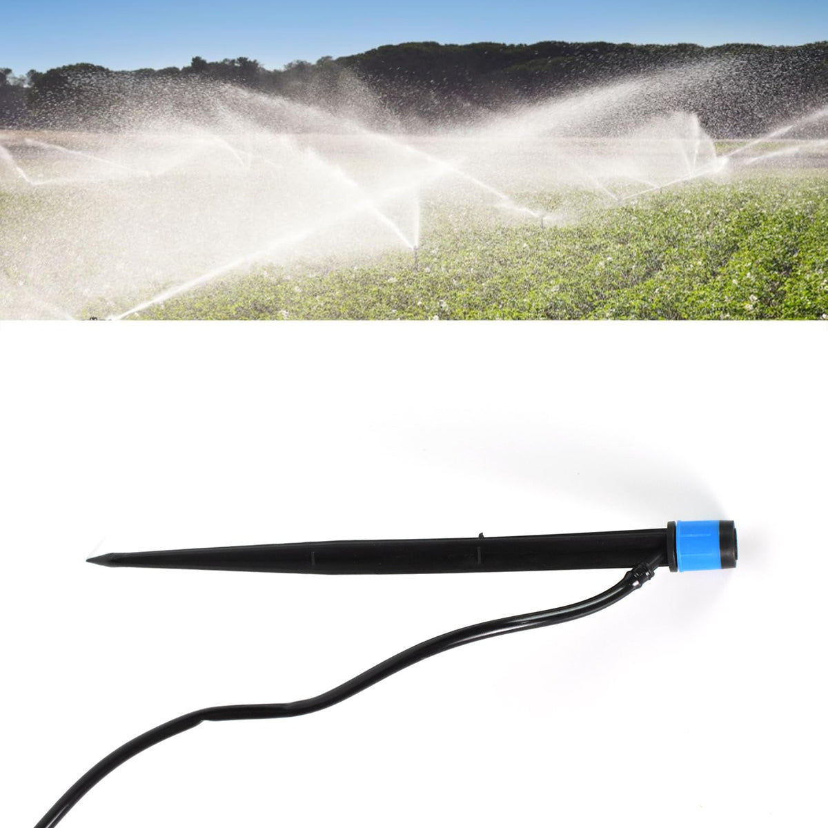 A black and blue water dripper with a thin black hose, with an upper image of multiple sprinklers watering a large green