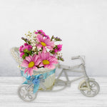 Decorative bicycle flower stand with plastic flower pots