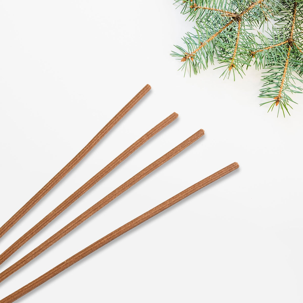 Four brown incense sticks fanned out on a white background with green pine needles in the top right.