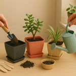 Durable plastic square planter pots ideal for home and office décor