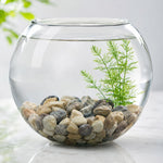 River pebbles used as garden decor and top dressing