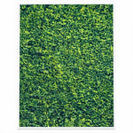 Backdrop cloth design view