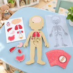 Educational organ puzzle kids learning