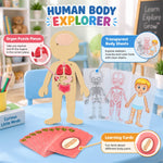 Anatomy puzzle cards view