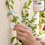 A person's hands attach a white plastic self-adhesive plant clip to a climbing vine on a textured wall outdoors.