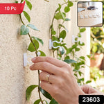 A person's hands attach a white plastic self-adhesive plant clip to a climbing vine on a textured wall outdoors. – view 2