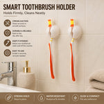 Bathroom toothbrush holder display