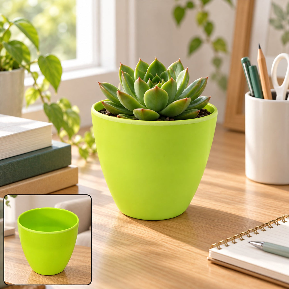 A vibrant green plastic pot containing a lush succulent plant sits on a wooden desk near a window. A smaller inset shows the