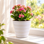 Indoor outdoor modern planter pot