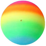 Group of children playing with the multi-colored Kids Beach Ball on a sunny day.