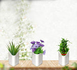 Multicolour hanging planter pot displayed against a wall, perfect for a vertical garden.