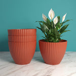 Plastic Flower Pots – Durable Round Planters for Home & Garden | Plant Edge