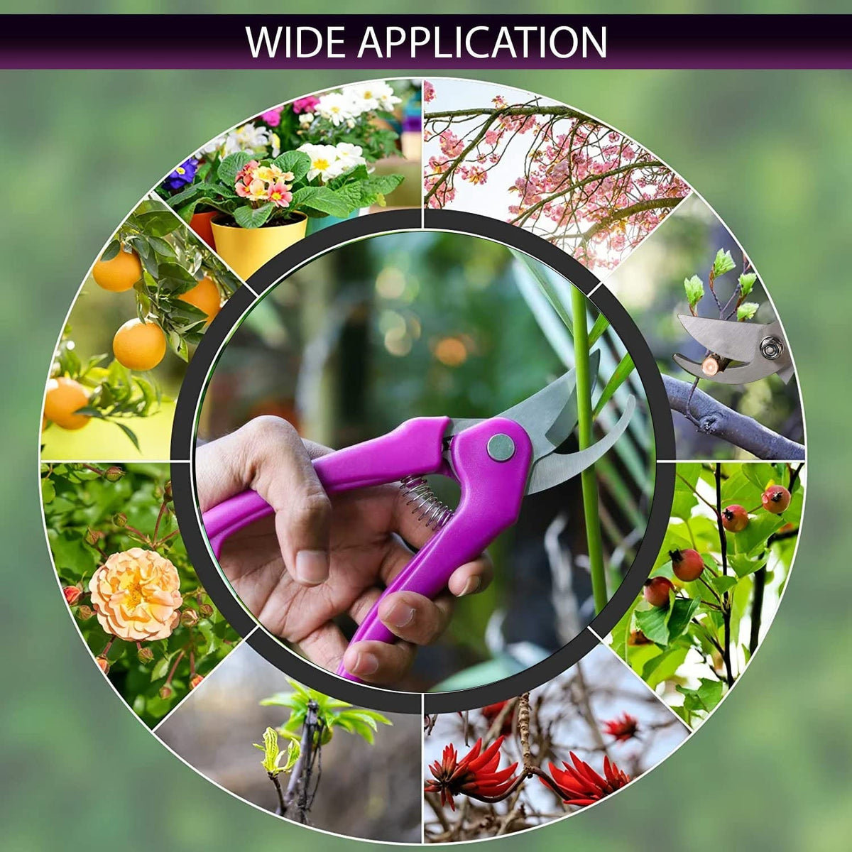 A collage of nine images showing the pink pruning shears in use for various gardening tasks.