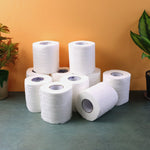 Pack of ten Freshee toilet tissue rolls neatly arranged for convenience.